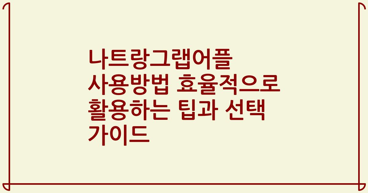 나트랑그랩어플 사용방법 효율적으로 활용하는 팁과 선택 가이드